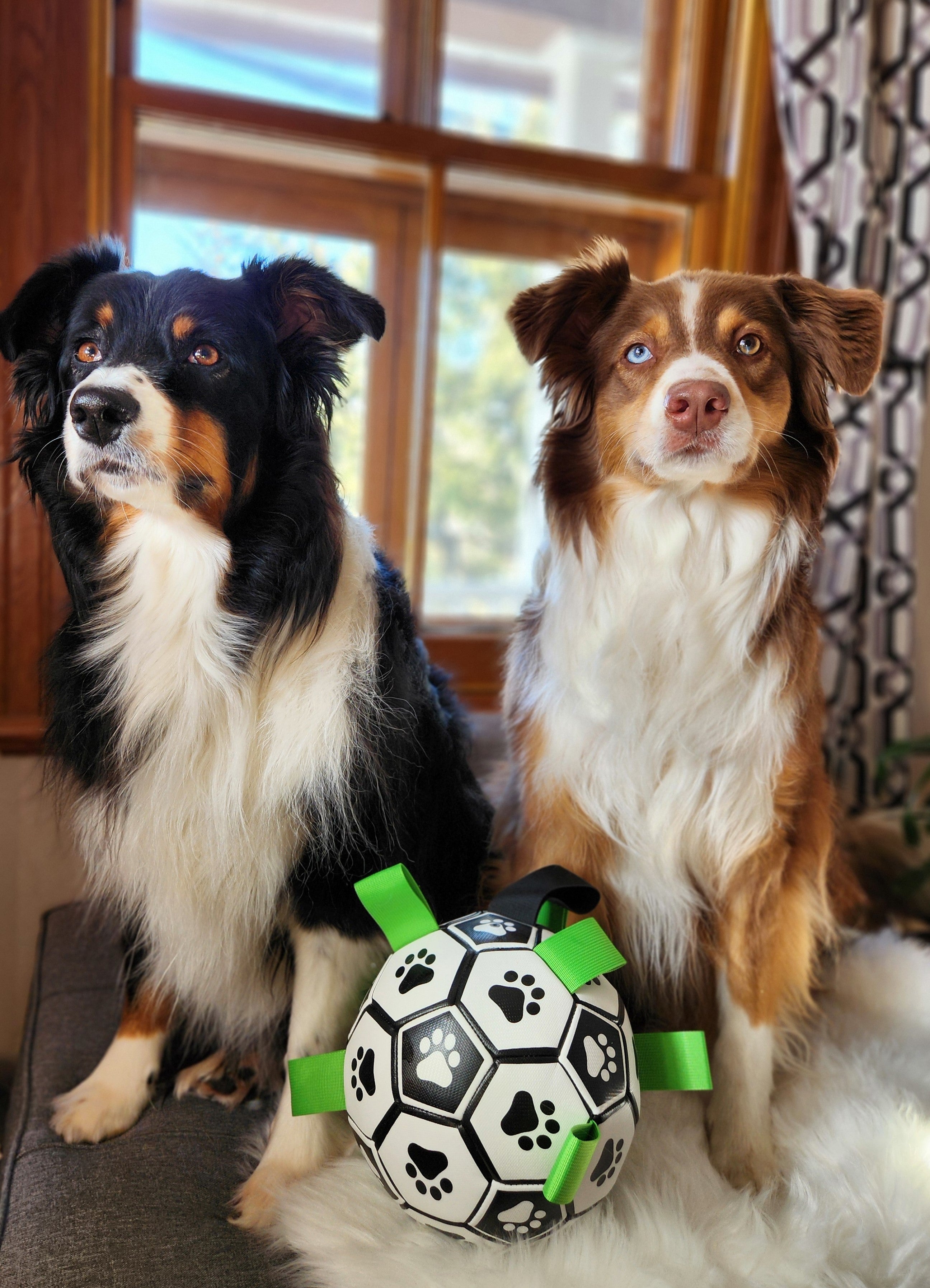 Toys & Balls Toys & Balls