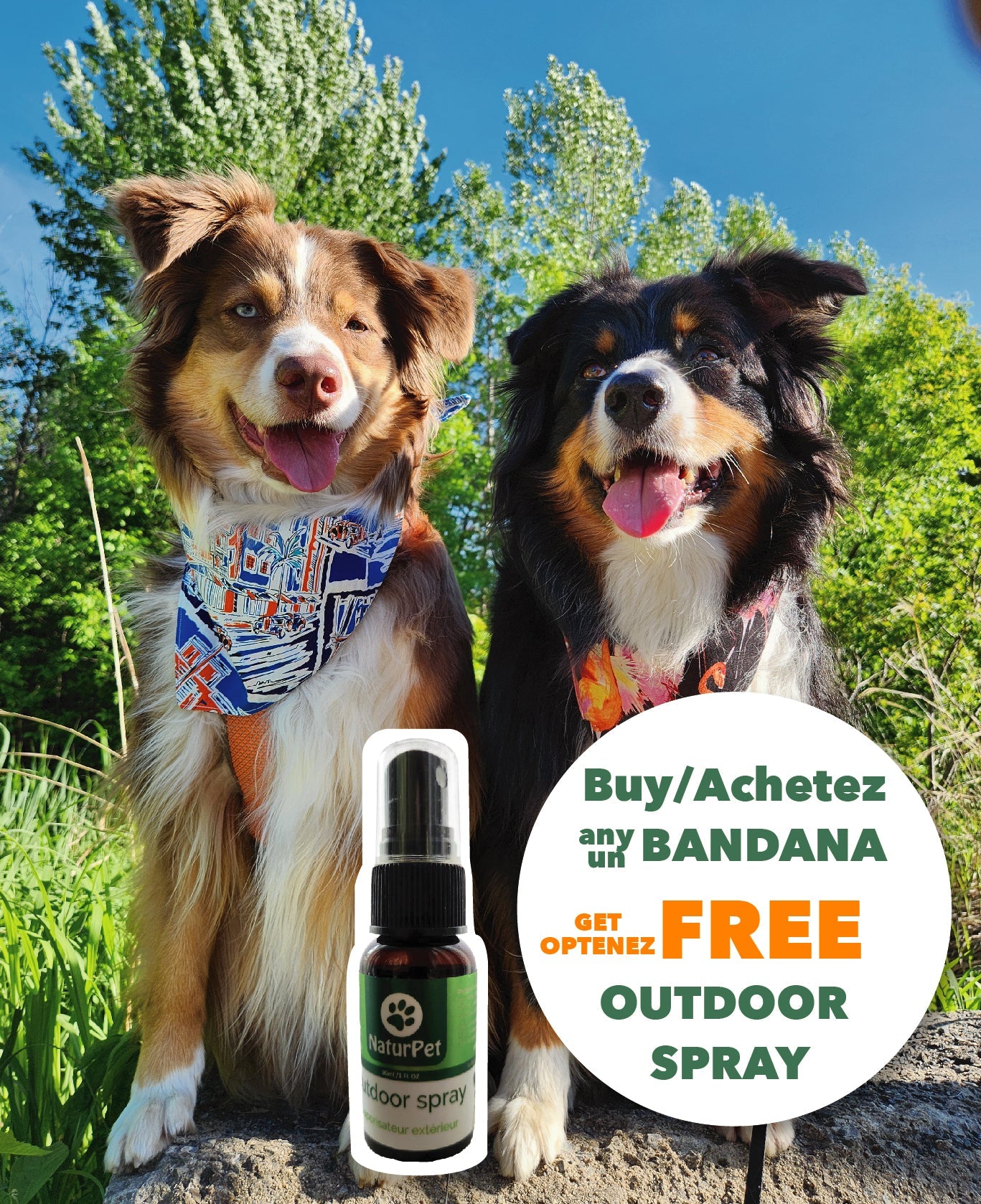 Fall Promo - Last chance 🍂 Fall Promo - Last chance 🍂