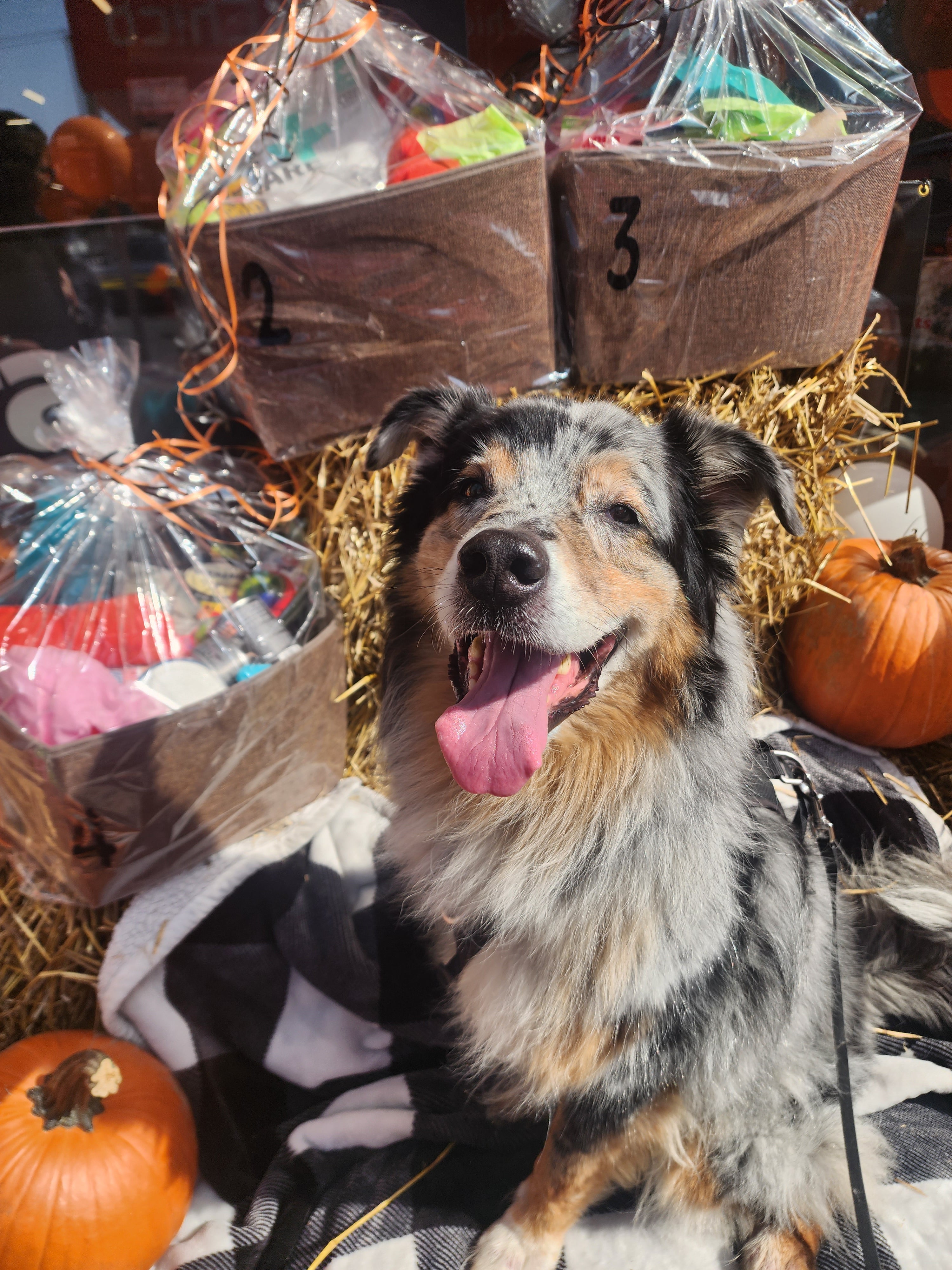 Boo! Fall is creeping in