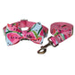 Summer Vibes Watermelon Collar & Leash Set