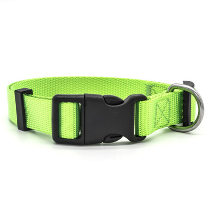 Classic pet collar