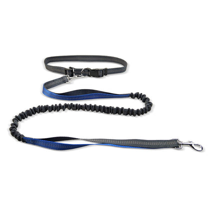Hands free shockproof leash