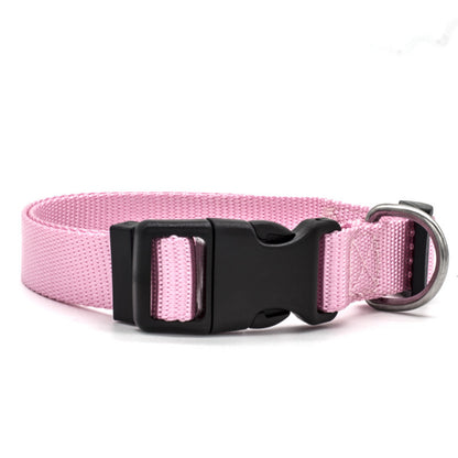 Classic pet collar