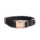 Black webbing dog collar