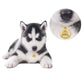 Pet ID Tag Personalized