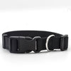 Classic pet collar