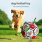 For small dog, Soccer Ball - with pump