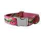 Summer Vibes Watermelon Collar & Leash Set