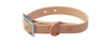All-Weather TPU Dog Collar