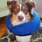 Inflatable Pet Recovery Collar