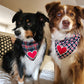 Navy Dog Bandana with Chenille Heart