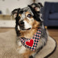 Navy Dog Bandana with Chenille Heart