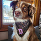 Reversible Leopard & Zebra Pattern Dog Bandana with Customizable Letters