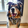 Customizable Black & white check bandana with chenille patch
