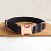 Black webbing dog collar
