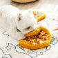 Plush Pepperoni Pizza Dog Toy