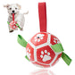 Dog Soccer Ball - with pump