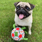 For small dog, Soccer Ball - with pump