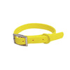 All-Weather TPU Dog Collar