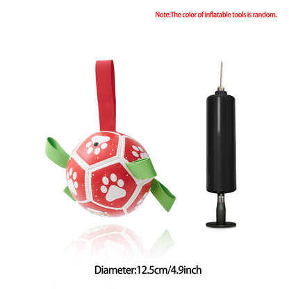 Dog Soccer Ball - with pump