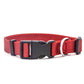 Classic pet collar