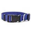 Classic pet collar