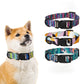 Dog Collar Neck Collar Pet Leash
