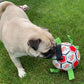 For small dog, Soccer Ball - with pump
