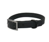 All-Weather TPU Dog Collar