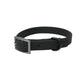 All-Weather TPU Dog Collar