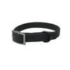 All-Weather TPU Dog Collar