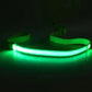 LED Dog Leash