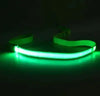 LED Dog Leash
