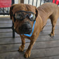 Goggles for Medium to Large Dogs