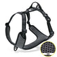 REFLECTIVE FOG HARNESS