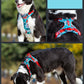 Summer tropical print mesh dog harness blue