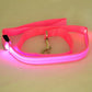 LED Dog Leash