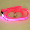 LED Dog Leash