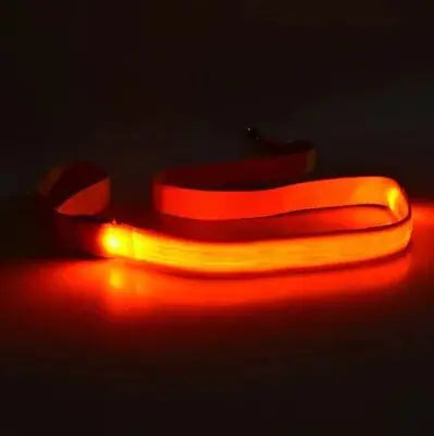 LED Dog Leash