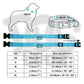 LED Dog Collar