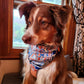 dog bandana