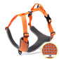 DOG HARNESS