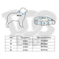 Dog Collar Neck Collar Pet Leash