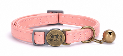 Personalized Cat Collar with Safety Breakaway Buckle