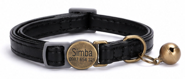 Collier de chat personnalisé avec boucle de sécurité détachable