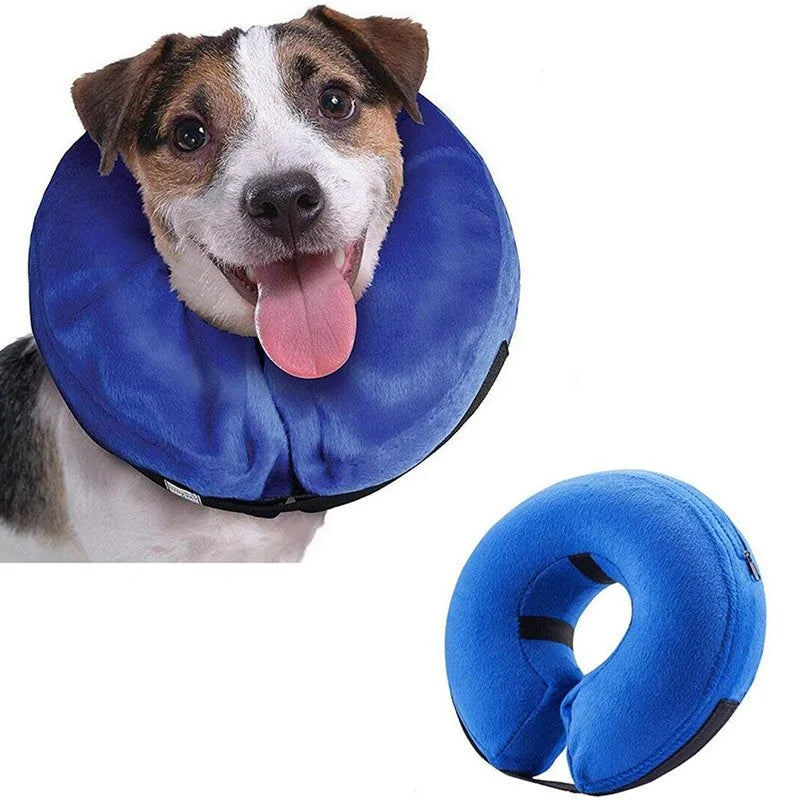 Inflatable Pet Recovery Collar DogBudz