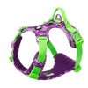 Summer tropical print mesh dog harness