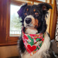 dog bandana , tropical print with red heart patch