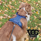 All-Weather Scuba Dog Harness