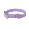 All-Weather TPU Dog Collar